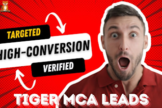 provide high conversion b2b mca aged leads