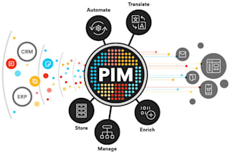 assist you with any kind of pim related tasks pimcore and akeneo and plytix
