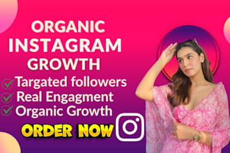 professional instagram growth organic follower