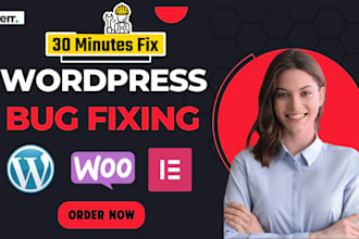 fix wordpress issues, fix wordpress errors, fix bug