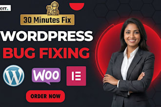 fix wordpress issues, fix wordpress errors, fix bug