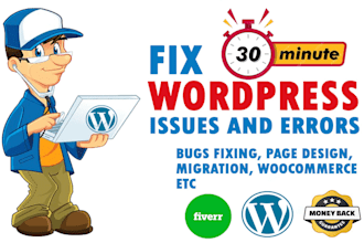 fix wordpress issues, errors, or problems fast in 30 minutes