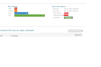 do vulnerability assessment for your website