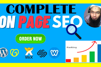 on page SEO, godaddy, wix, squarespace, weebly, websites, any cms