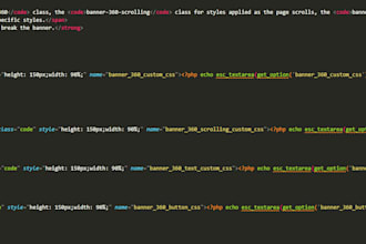 provide technical programming and security solutions for wordpress sites