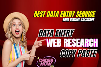 be your virtual assistant for data entry, data mining, copy paste, web research