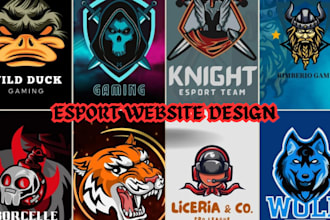 develop igaming website, esport, tournament website, fantasy sport app