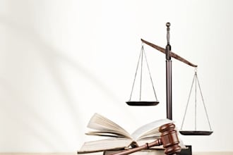 provide strategic legal research and analysis