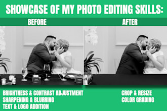 professionally remove unwanted objects and change text