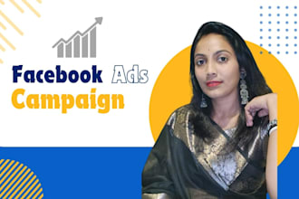 setup manage optimize highly targeted facebook and instagram ads campaign