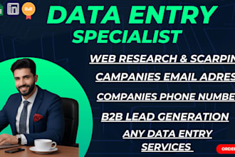 be your virtual assistant for data entry and web research