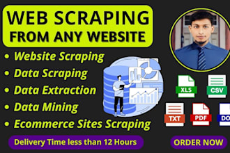 do web scraping, data extraction and data mining from any website