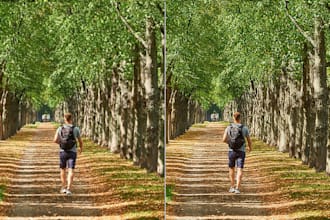 do professional image upscaling and enhancement high quality results guaranteed