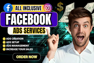 run facebook and instagram advertising, campaign,