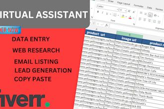 collect email addresses, website, phone numbers, data entry, and lead generation