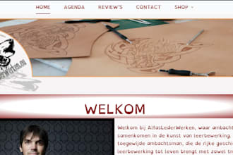 make website in wordpress nice basic website