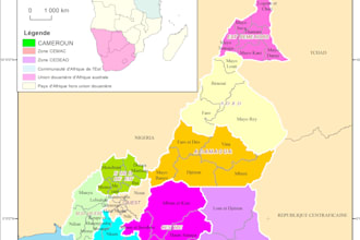do gis mapping, data analysis