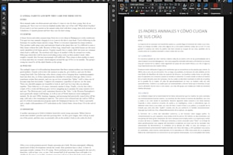 do english or spanish transcription of any audio file or video