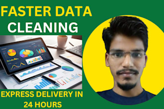 do faster data cleaning, fast delivery with in 24 hours