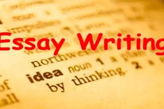 do nursing essays, sociology, public health essays, criminology and law essays