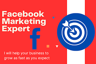 do facebook marketing, advertising, shopify fb ads campaign and instagram ads