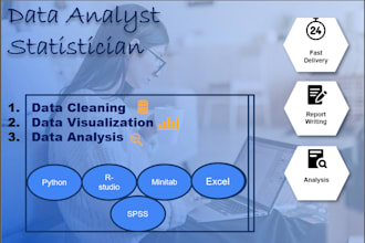 provide expert statistical analysis and data services