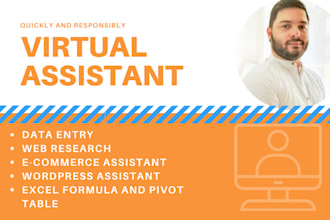 be your expert virtual assistant for data entry