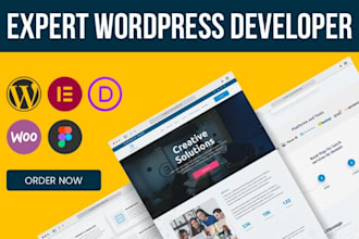 custom wordpress designer, wordpress designer, wordpress expert, elementor