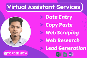 be your virtual assistant for data entry, typing, copy paste and web research