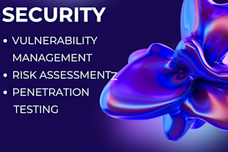 assist in information security vulnerability management and penetration test