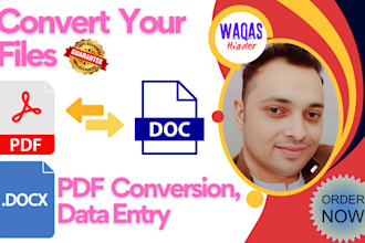 professionally type any scan document ms excel word pdf conversion data entry
