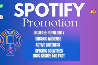 do run music ads to promote your spotify music