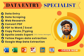 provide virtual assistance for copy paste, data entry and typing work