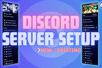 set up a professional custom discord server