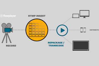 install rtmp and srt server or restreamer