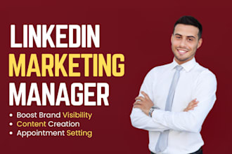be your linkedin marketing manager and b2b appointment setter