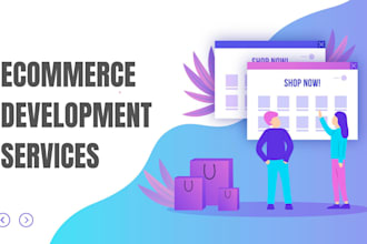 develop adult ecommerce website, toy website development