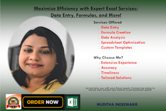 do professional excel data entry and formula creation