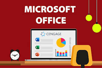 do microsoft word document design, professional formatting and customization