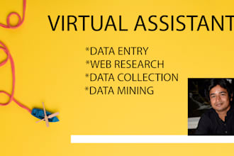 be your assistant for data entry, web research, typing, copy, paste etc