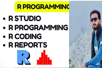 do r coding r studio and r programming assignments and reports