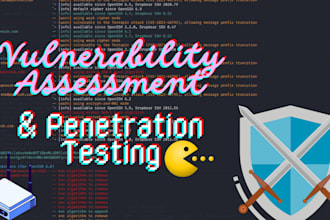 do advanced vulnerability assessment and penetration testing
