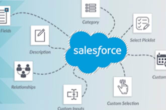 be your salesforce admin and help you with configuration