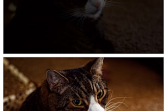 edited your too dark or bright photo