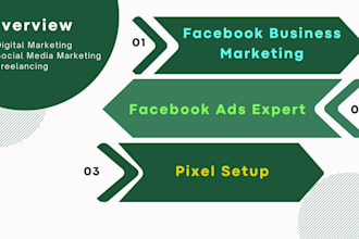 create fb business manager, fb ads expert, also setup pixel
