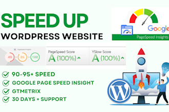 do wordpress website speed optimize for google pagespeed insights or gtmetrix