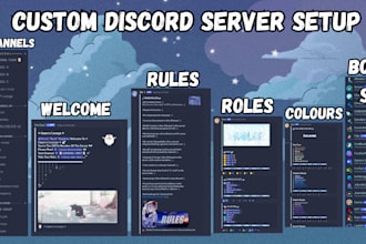 setup custom community discord server professionally