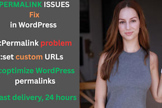fix wordpress issues, errors, and optimize permalinks to improve seo