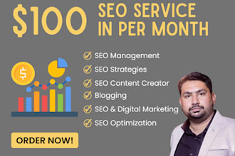 website seo organic traffic growth website ranking