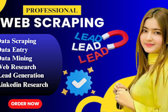 be your VA for excel data entry, web resaerch, lead generation